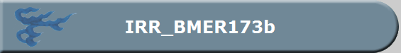 IRR_BMER173b