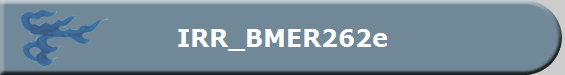 IRR_BMER262e